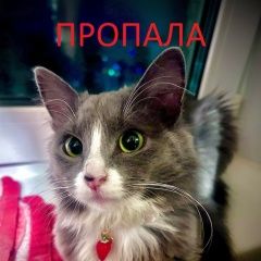 ����: ������� �����  �������� ����� ������ �������� � �. ������ ��������