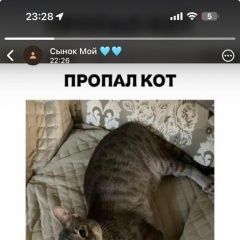 ����: ������� �����  ������� ��� ��������� � �. ���������