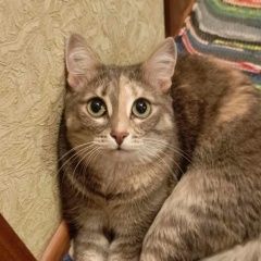����: ������� �����  �������� ����� ����� ������� � �. ����� �������