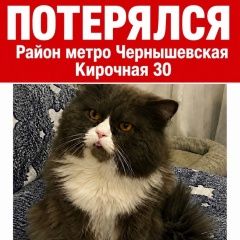 ����: ������� �����  ������� ��� ����� �����-��������� � �. �����-���������