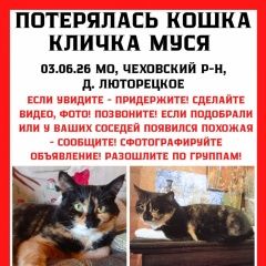 ����: ������� �����  �������� ����� ���� ����� � �. �����