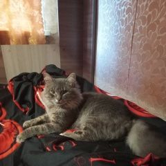 ����: ������� �����  ��������� ������ ��� ������� ����� � �. ��������