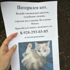����: ������� �����  ������� ��� ����������� � �. ����������