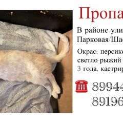 ����: ������� �����  ������� ��� ��� � �. ���