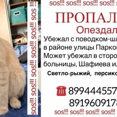 ����: ������� �����  ������� ��� ��� � �. ���
