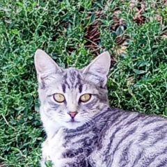 ����: ������� �����  �������� ����� ���-���� ����� �������� � ��������� � �. ���������