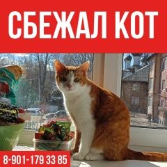����: ������� �����  �������� ������ ��� ������ � �. �������