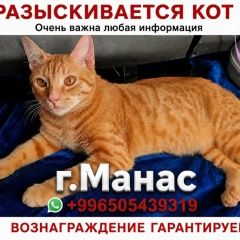 ����: ������� �����  ������� ��� ������-���� � �. ������-����