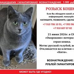 ����: ������� �����  �������� ����� 21 ���� 2026 ����� � �. �����