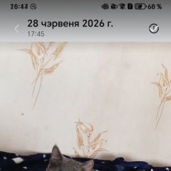 ����: ������� �����  �������� ����� �������������� ��������� �������...� � �. ������� ��������� ���.