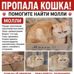 ����: ������� ����� ������������ ��������������� �������� ����� ����� ������ � �. ������