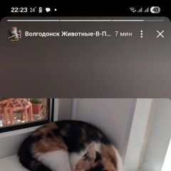 ����: None  ��������� ����� ���������� � �. ����������