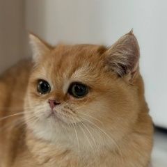 ����: ������� ����� ���������� ��������������� ����� �������� ����� ����� ��� ������� � �. �������