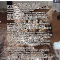 ����: ������� �����  �������� ����� �� �� ������ ������� �������-����� � �. �������-�����