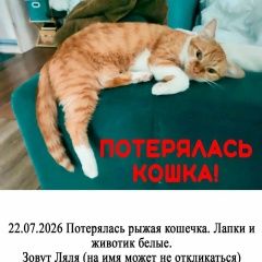 ����: ������� �����  �������� ����� ������� � �. �������
