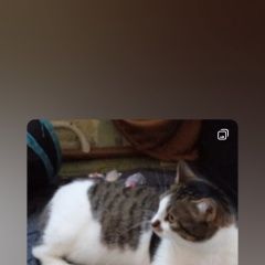 ����: ������� �����  ������� ��� ������ � �. ������