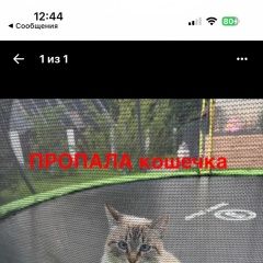 ����: ������� �����  �������� ����� ������ � �. ������