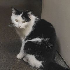����: ������� �����  ������-��������� ������� ����� � �. �����-���������