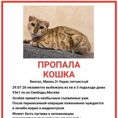 ����: ������� ����� ����������� ����� �������� ����� ������ � �. ������