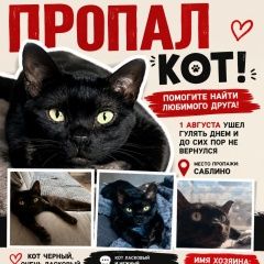 ����: ������� �����  ������� ��� ����������, �������� �������...� � �. �����-���������