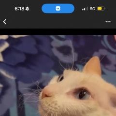 ����: ������� �����  ������� ��� ��������� � �. ���������