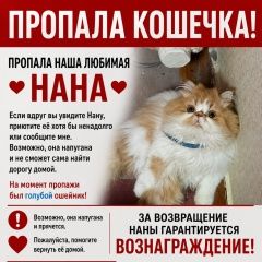 ����: ������� ����� ���������� ����� �������� ����� �������� ���������� ����� ������...� � �. ������ (���)