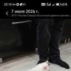 ����: ������� ����� ���������� ��������������� ����� ������� ������� ����� ������� � �. ������
