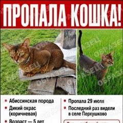 ����: ������� ����� ����������� ����� �������� ����� ����������� �������� � �. ��������