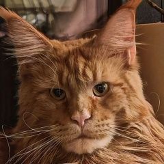 ����: ������� ����� ����-��� ������� ��� ���� ��� ����� 3 ���� ����������...� � �. ���������� (������������ ���.)