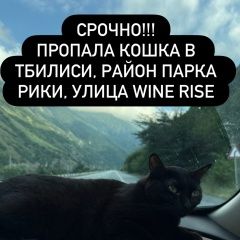 ����: ������� �����  �������� ����� ������ ����� ������� � �. �������