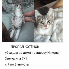 ����: ������� �����  �������� ����� ����� ������� ������ �� ����� ������ � �. ������