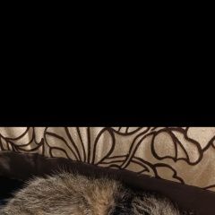 ����: ������� �����  �������� ����� ����� � �. �����