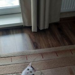 ����: ������� �����  ������� ��� �����, � ������ ���������� � �. ����������
