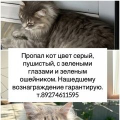 ����: ������� ����� ��������� ����� ������� ��� ����������� � �. �����������