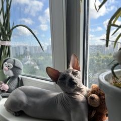 ����: ������� ����� ������ ������� ��� ������ ������ ���������� � �. ����������