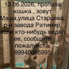 ����: ������� �����  ������������ ������� ����� � �. �����������