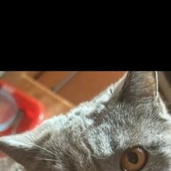 ����: ������� ����� ���������� ��������������� ����� ����� �������� ������� ����� ����� ����������...� � �. ���� ��������