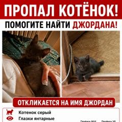 ����: ������� �����  ������� ������ ��������� � �. ���������