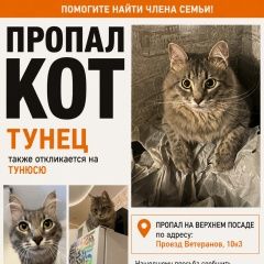����: ������� �����  ������� ��� ������� ���, ����� �� ���� ���������� � �. ����������