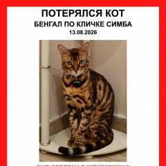 ����: ������� ����� ����������� ����� ������� ��� ������ ����� ��������� � �. ���������