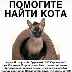 ����: ������� �����  ����������� ������ ��� �������� ����� ���� � �. ����������