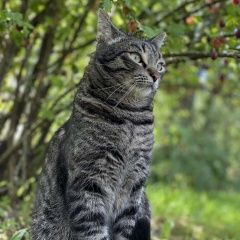 ����: ������� �����  ������� ������ ��� ������� �������� ��� � �. ������