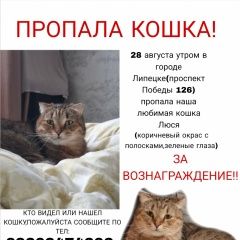 ����: ������� �����  ������� ������� ����� � �. ������