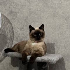 ����: ������� ����� �������� ����� �������� ����� ������� ������� � �. �������
