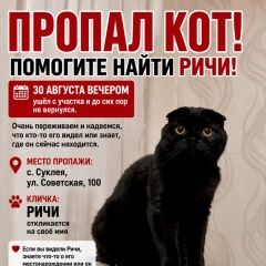 ����: ������� ����� ���������� ��������������� ����� ���������� ������ ��� ���� � �. ���������