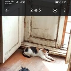 ����: ������� �����  �������� ����� ���������� � �. ���������
