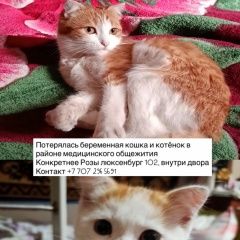 ����: ������� �����  ��������� ������� ����� � ������� � �. ��������