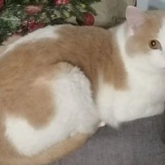 ����: ������� �����  ������ ������ ��� ����-����� ��� � ������� 2026� � �. �����