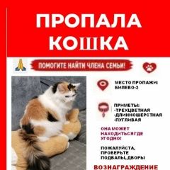 ����: ������� �����  �������� ����� ������� � �. �������
