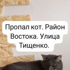 ����: ������� �����  ������� ��� ������� ���. � ������ �������. �������� � �. ��������